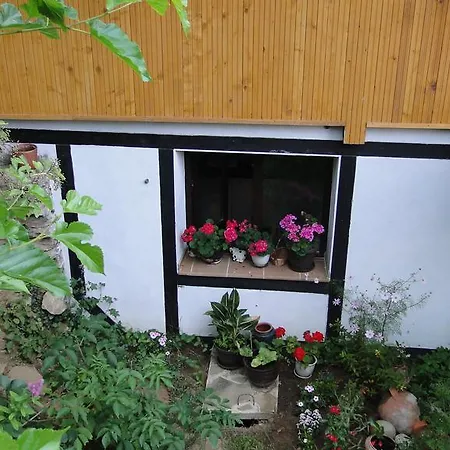 Countryside Houses * Golets