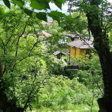 Feriepark Countryside Houses *