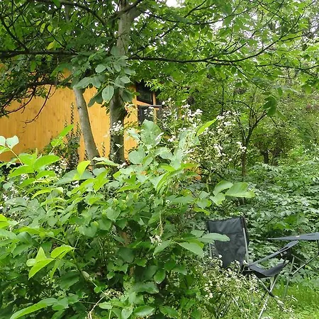Countryside Houses